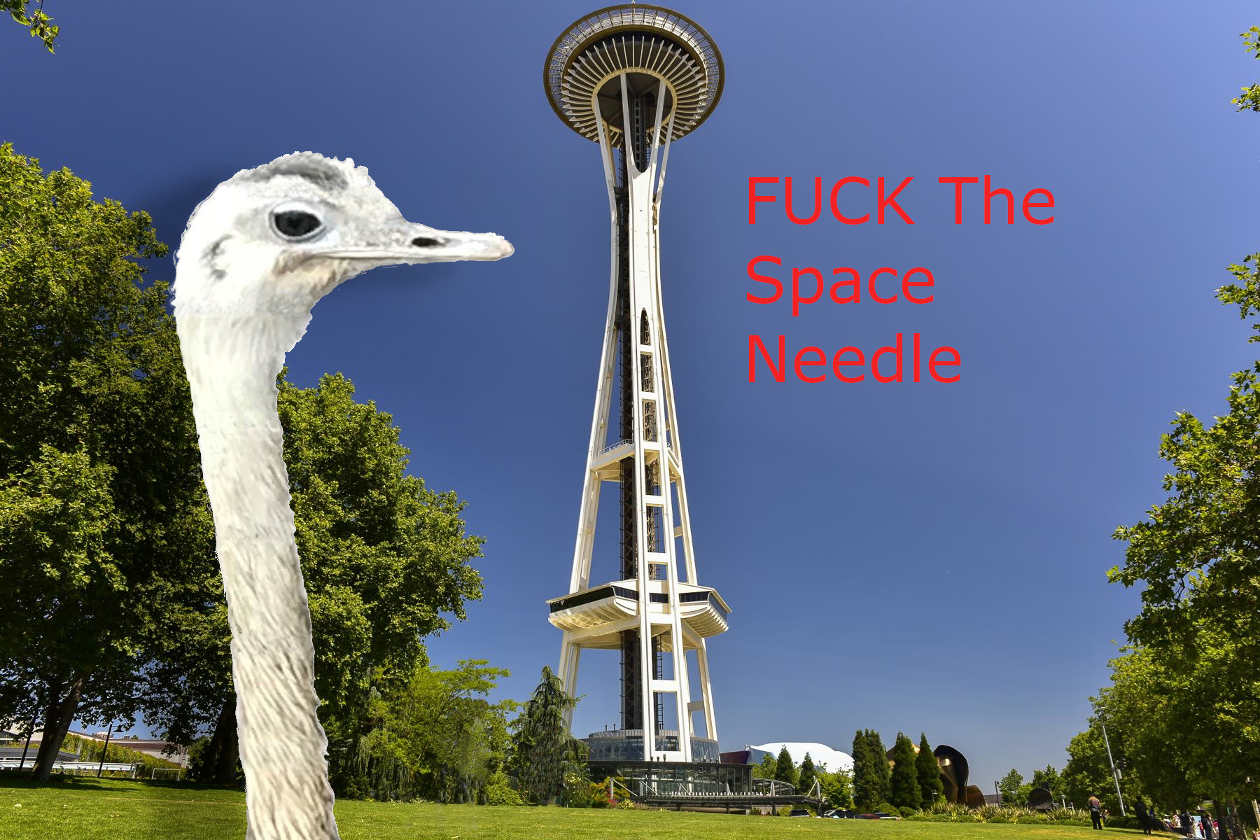 Marv on the space needle