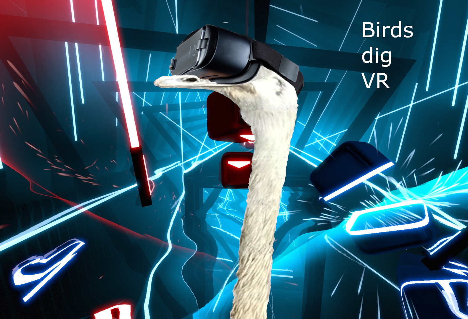 Birds dig VR